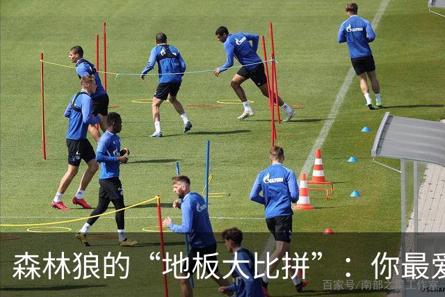 森林狼的“地板大比拼”：你最爱哪种风格？